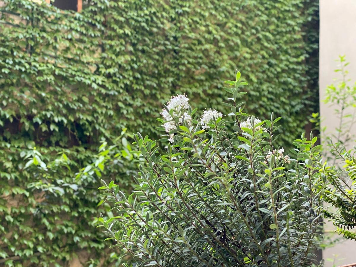 Hotel Blissdom Tbilisi Eksteriør billede